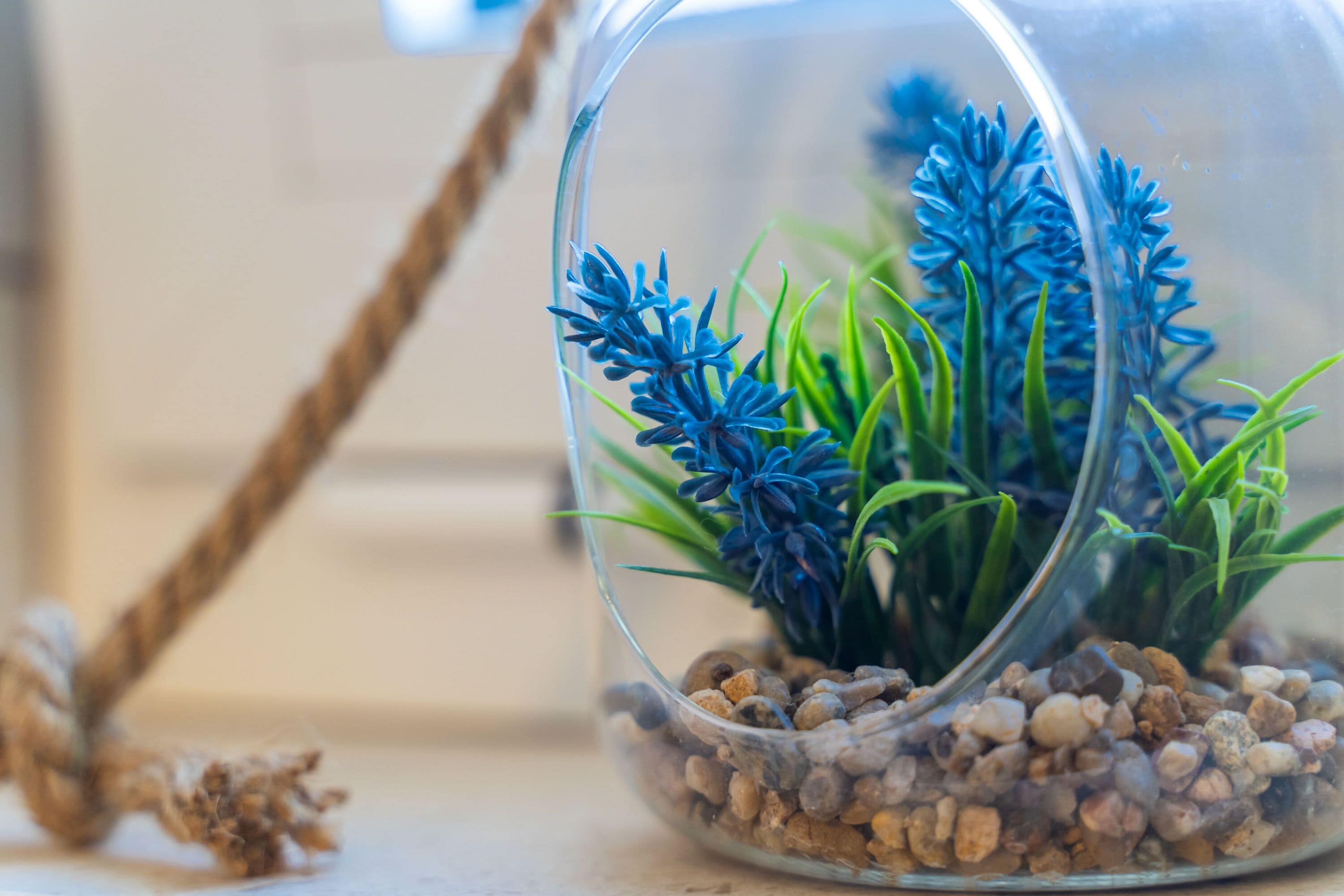 Um terrário de vidro transparente com flores azuis e folhas verdes, colocado sobre uma superfície com corda.