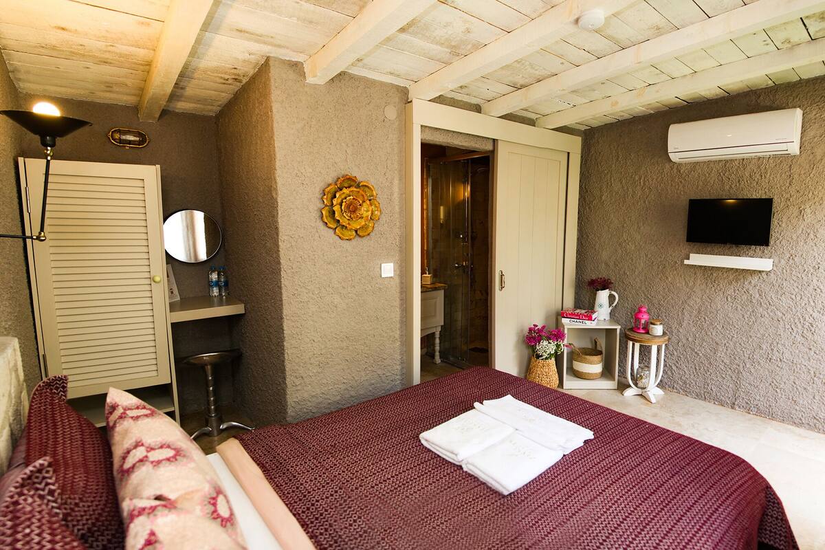 Un dormitorio con cama, mesita de noche, espejo, equipo de aire acondicionado, televisión y zona de ducha.