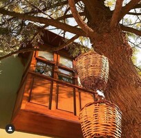 Un edificio de madera tradicional con un gran ventanal y un árbol con macetas colgantes.