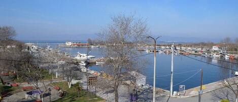 Vista desde la propiedad