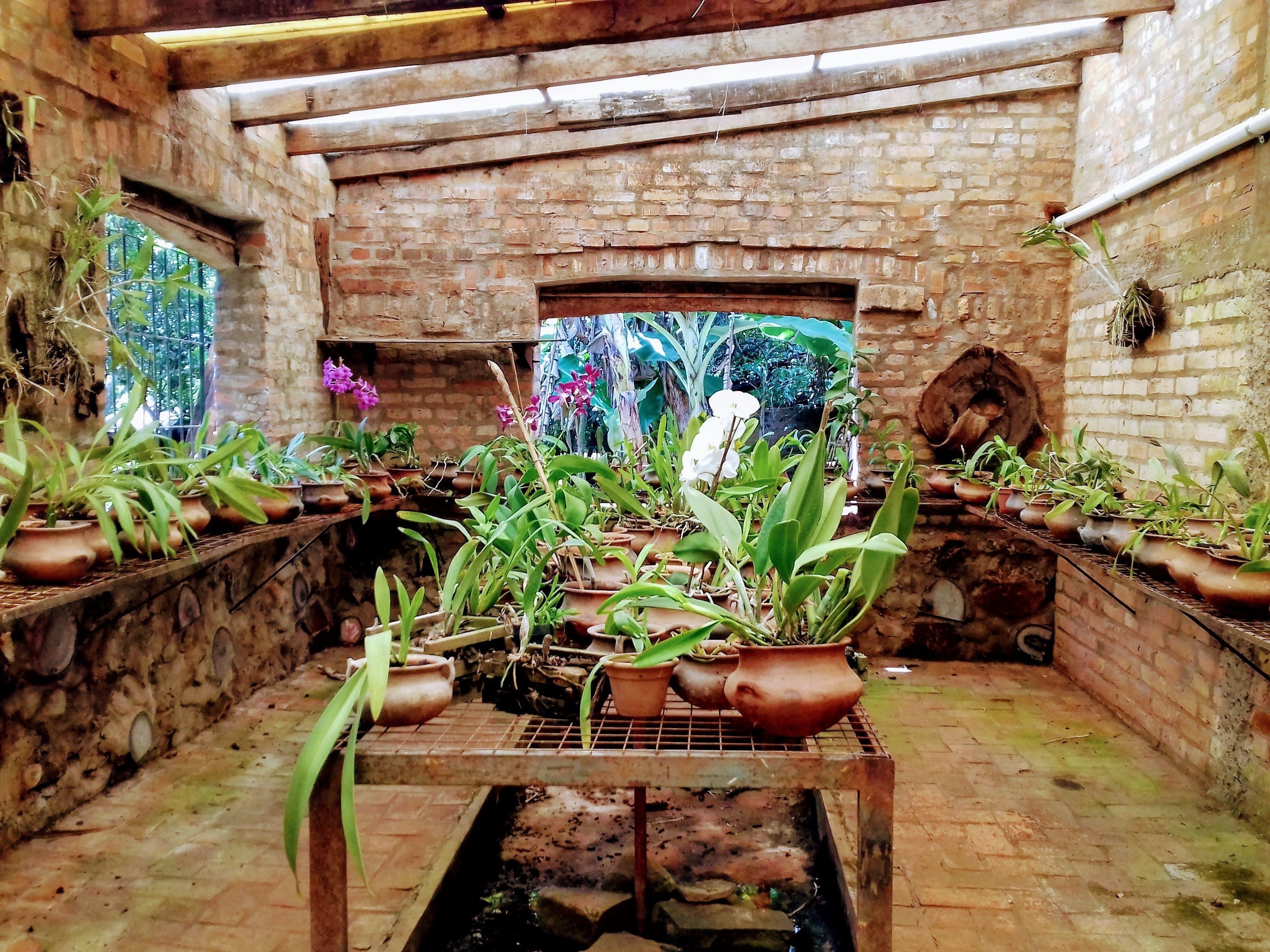 Photo - My Eco Lodge