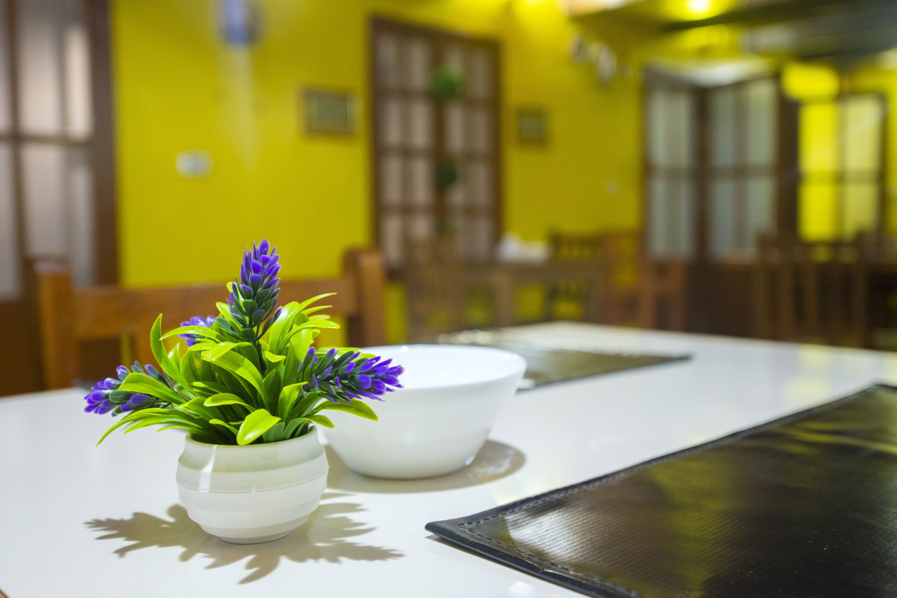 Photo - My Eco Lodge