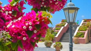 A staircase with potted plants and a street lamp. - Skinos ilivatos Boutique Eco Villa (Kefalonia)