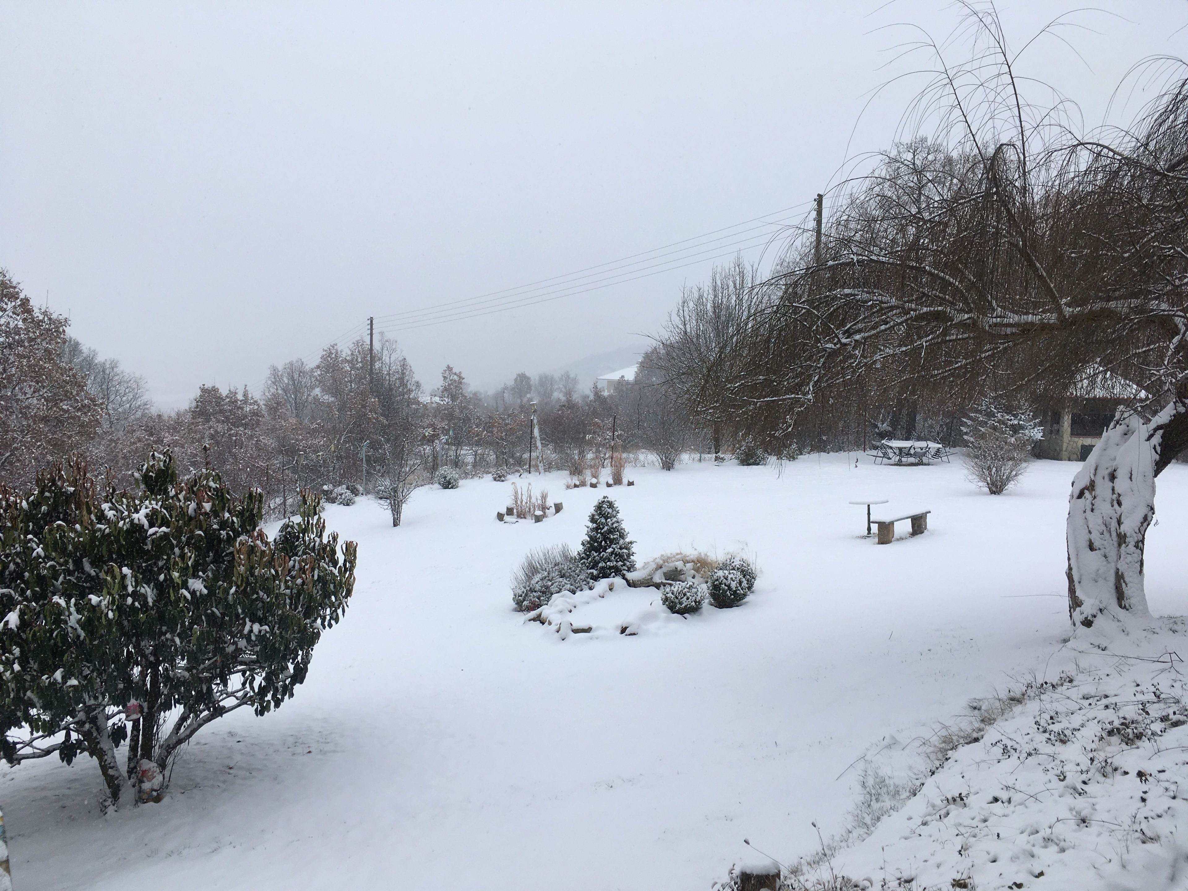 Ein verschneiter Garten mit einer Bank, Bäumen und einer schneebedeckten Landschaft.
