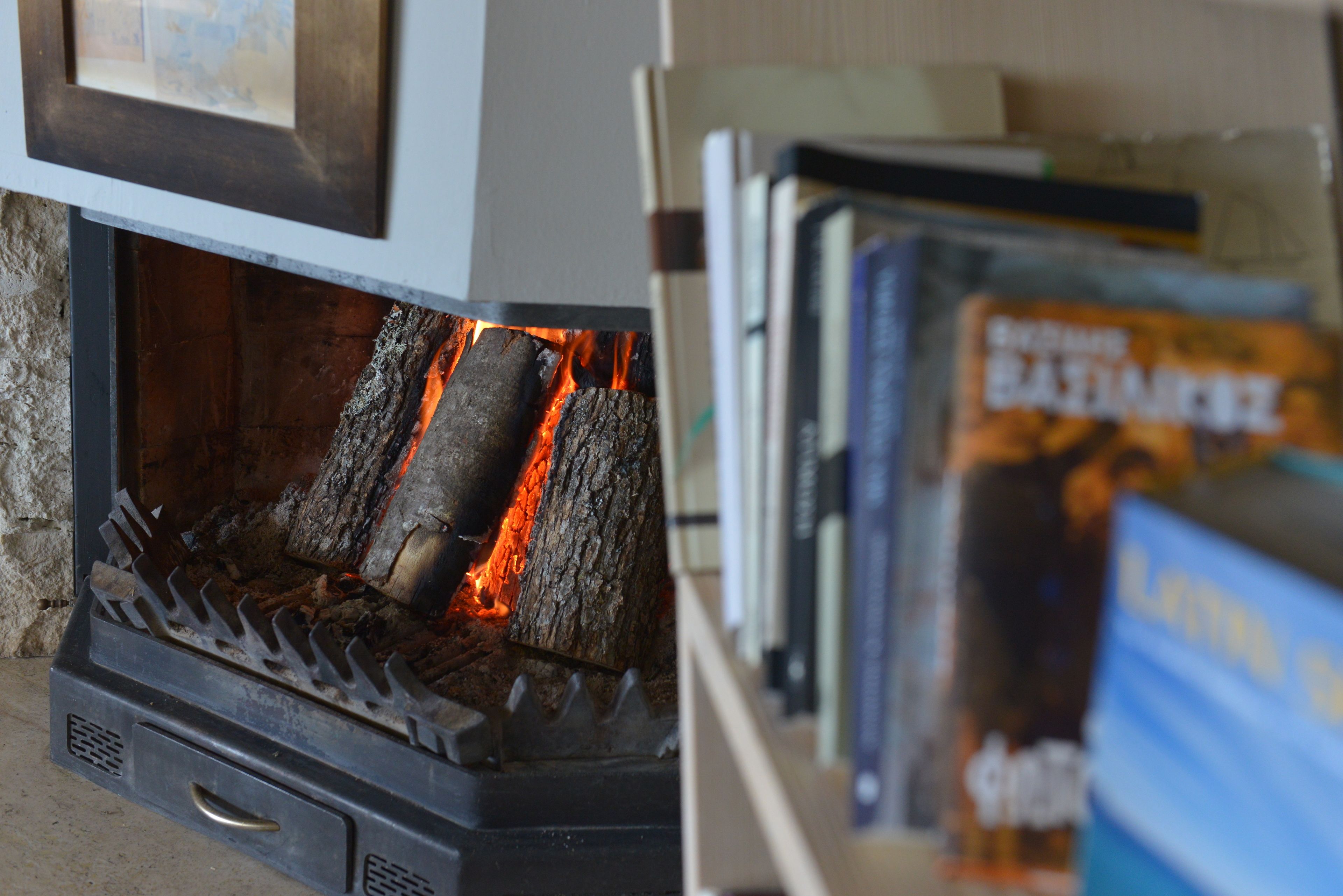 Una llar de foc amb llenya cremant, una biblioteca amb llibres i una paret de pedra.