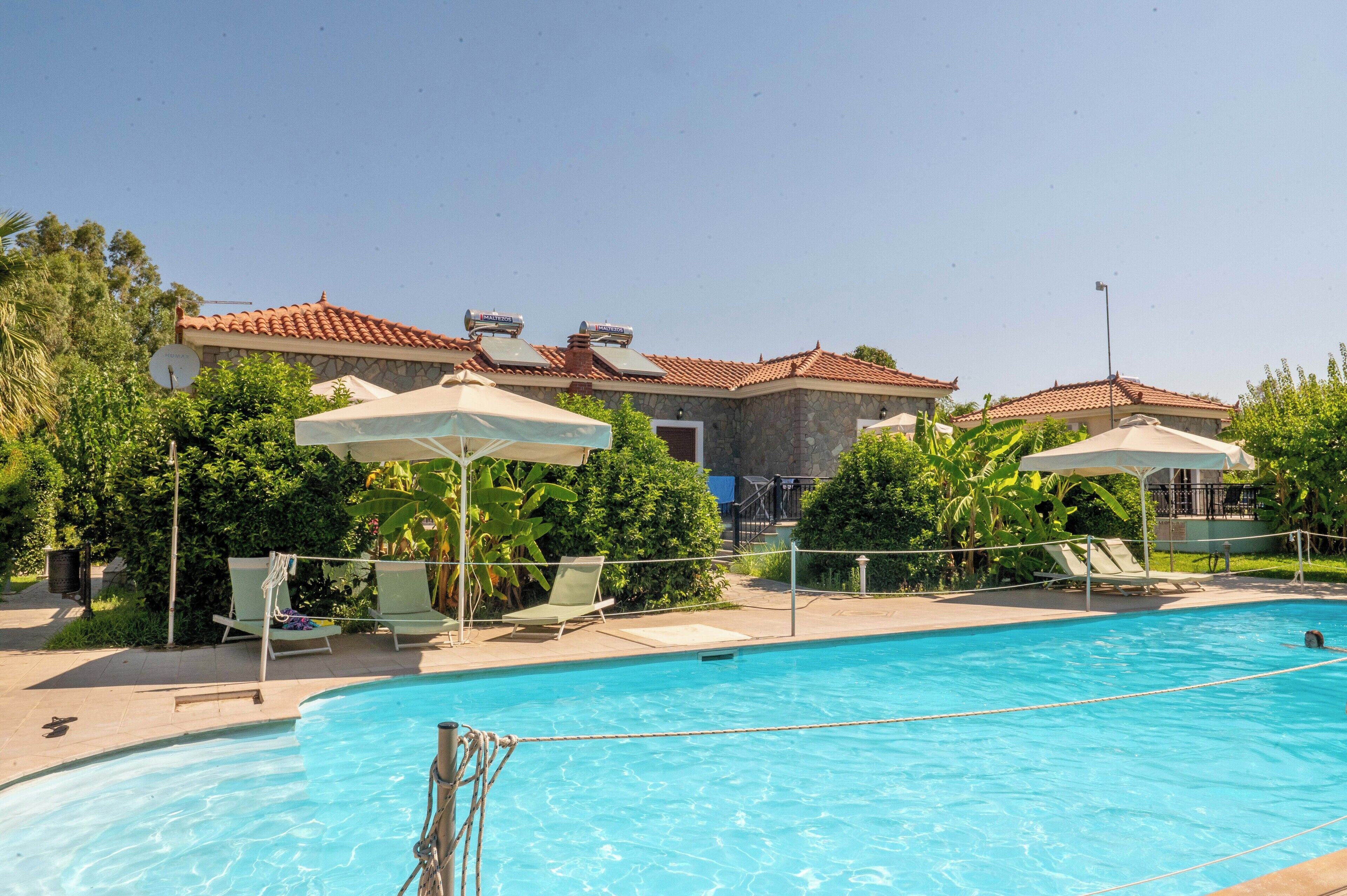A swimming pool with lounge chairs and umbrellas, surrounded by greenery and a building with a tiled roof.
