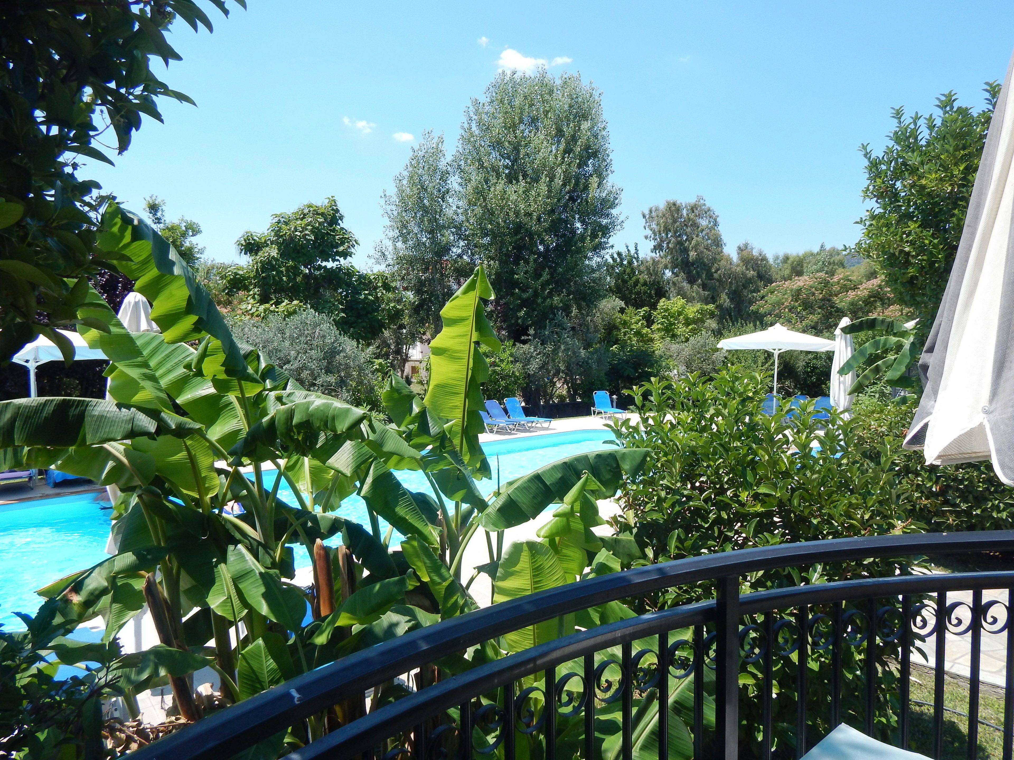 A pool area with lounge chairs and umbrellas, surrounded by lush greenery and trees.