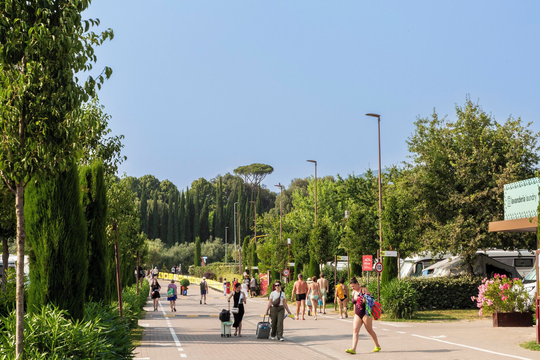 Hu Firenze Camping In Town, Florence: Hotel Reviews, Rooms & Prices |  Hoteles.com