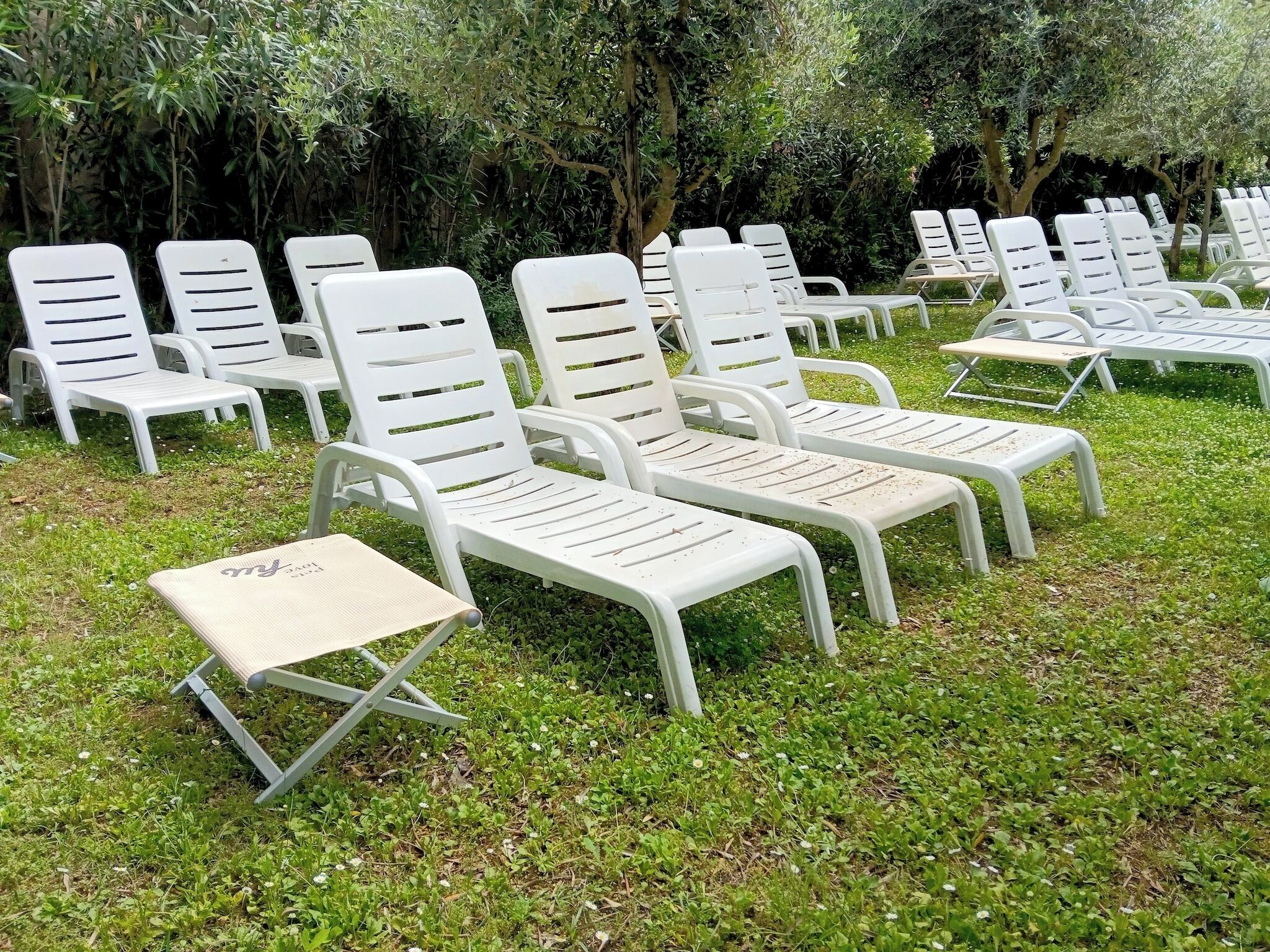 Des fauteuils de jardin sont disposés en rangées sur une pelouse, avec un feuillage dense en arrière-plan.