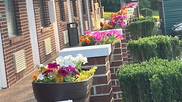 Entrada de la propiedad