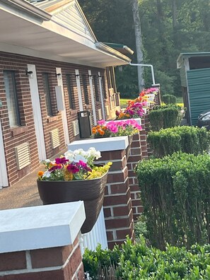 Entrada de la propiedad