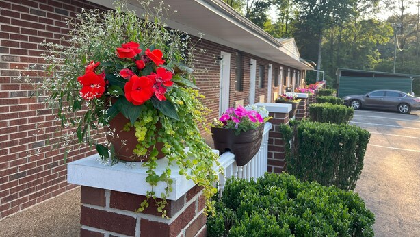 A brick building with a row of flower planters on the sidewalk. - Pine Tree Inn (Parsons)