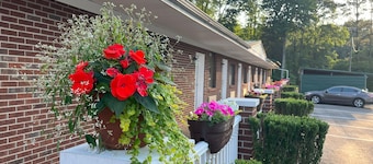 Pine Tree Inn