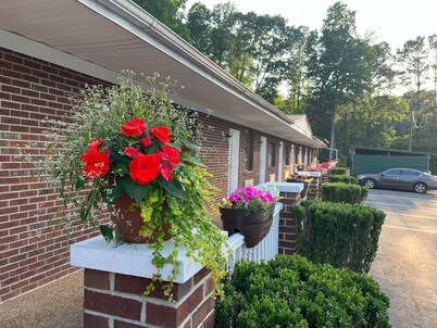 Pine Tree Inn