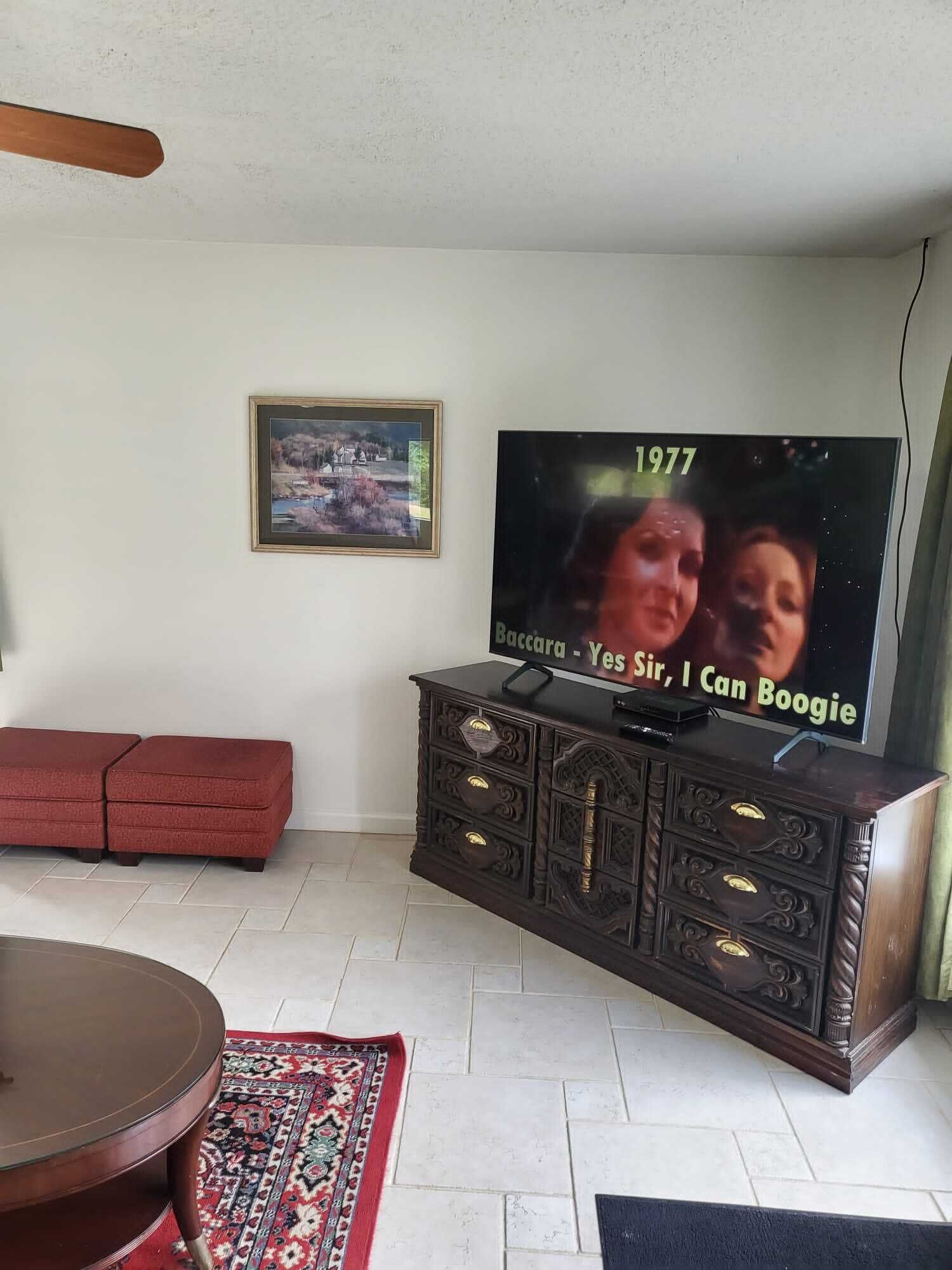 Una sala de estar con una televisión sobre un mueble de madera, un sofá rojo, un tapete estampado y un cuadro en la pared.