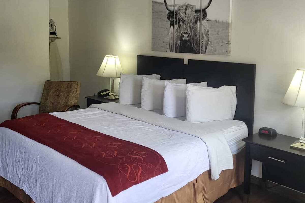 Une chambre d’hôtel avec un grand lit, deux tables de chevet avec des lampes, une tête de lit ornée d’un tableau représentant un taureau et un plancher en bois.