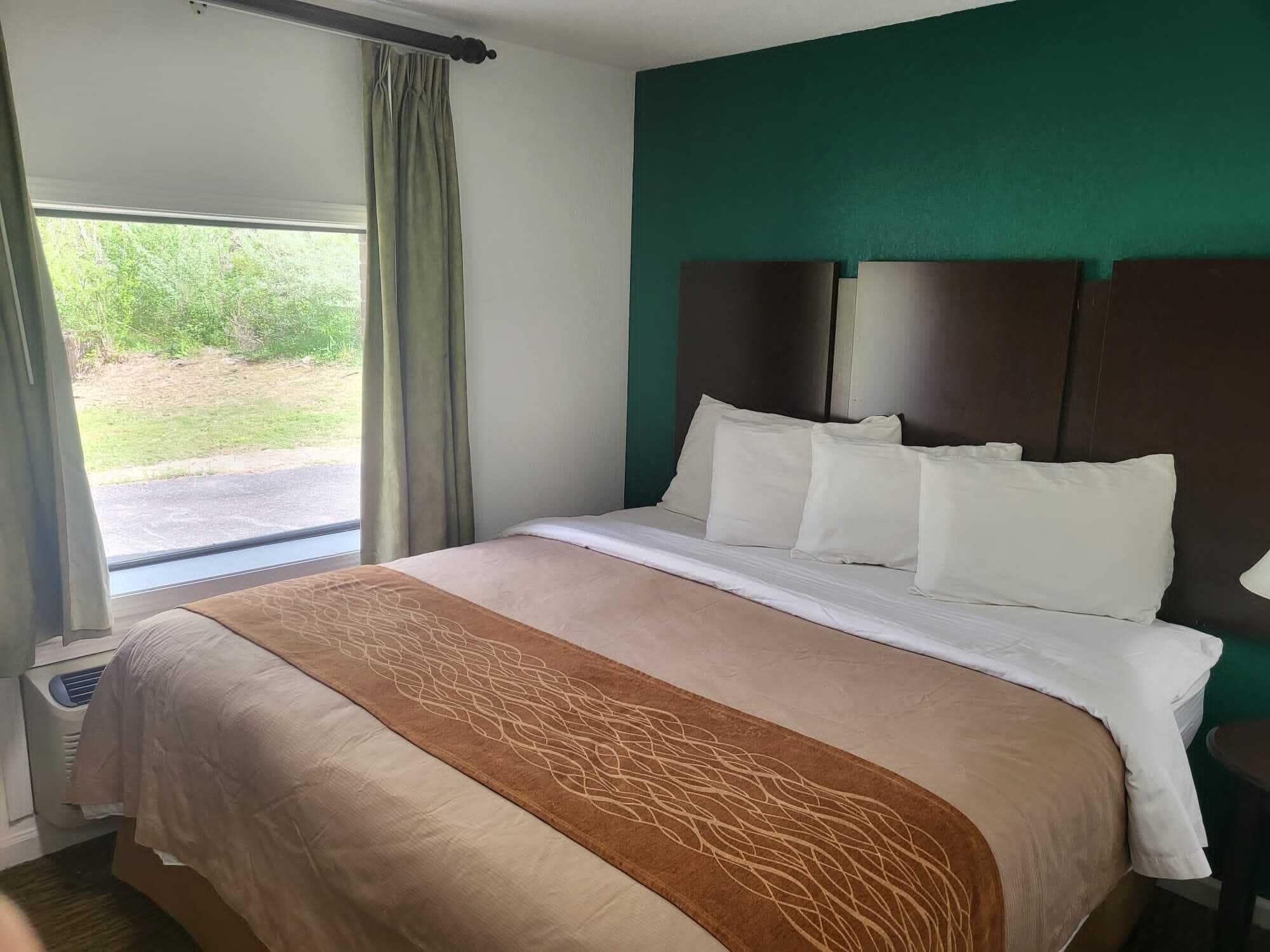 A hotel room with a large bed, a view of the outdoors, and a green accent wall.