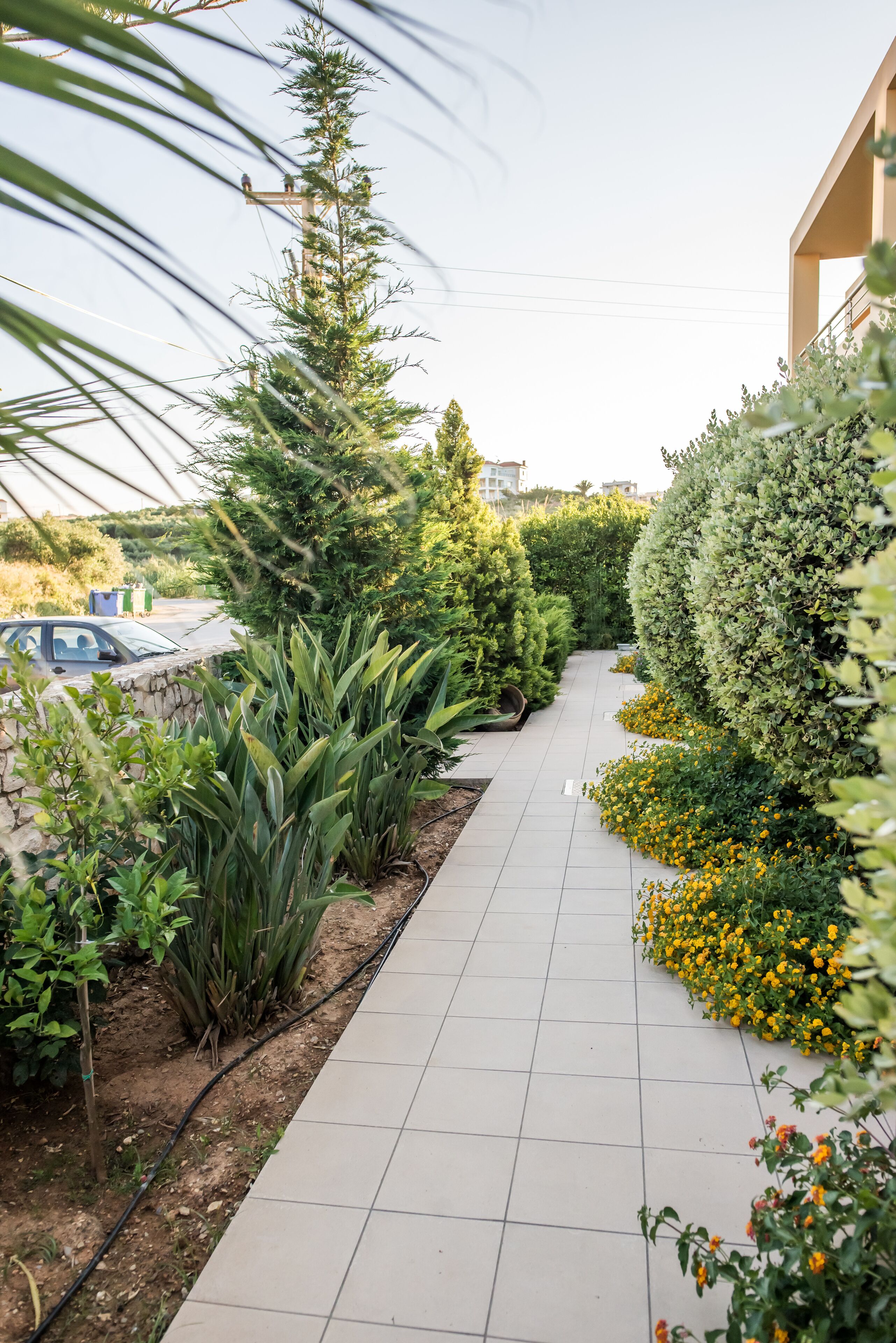 Foto - Lavender Villas Chania