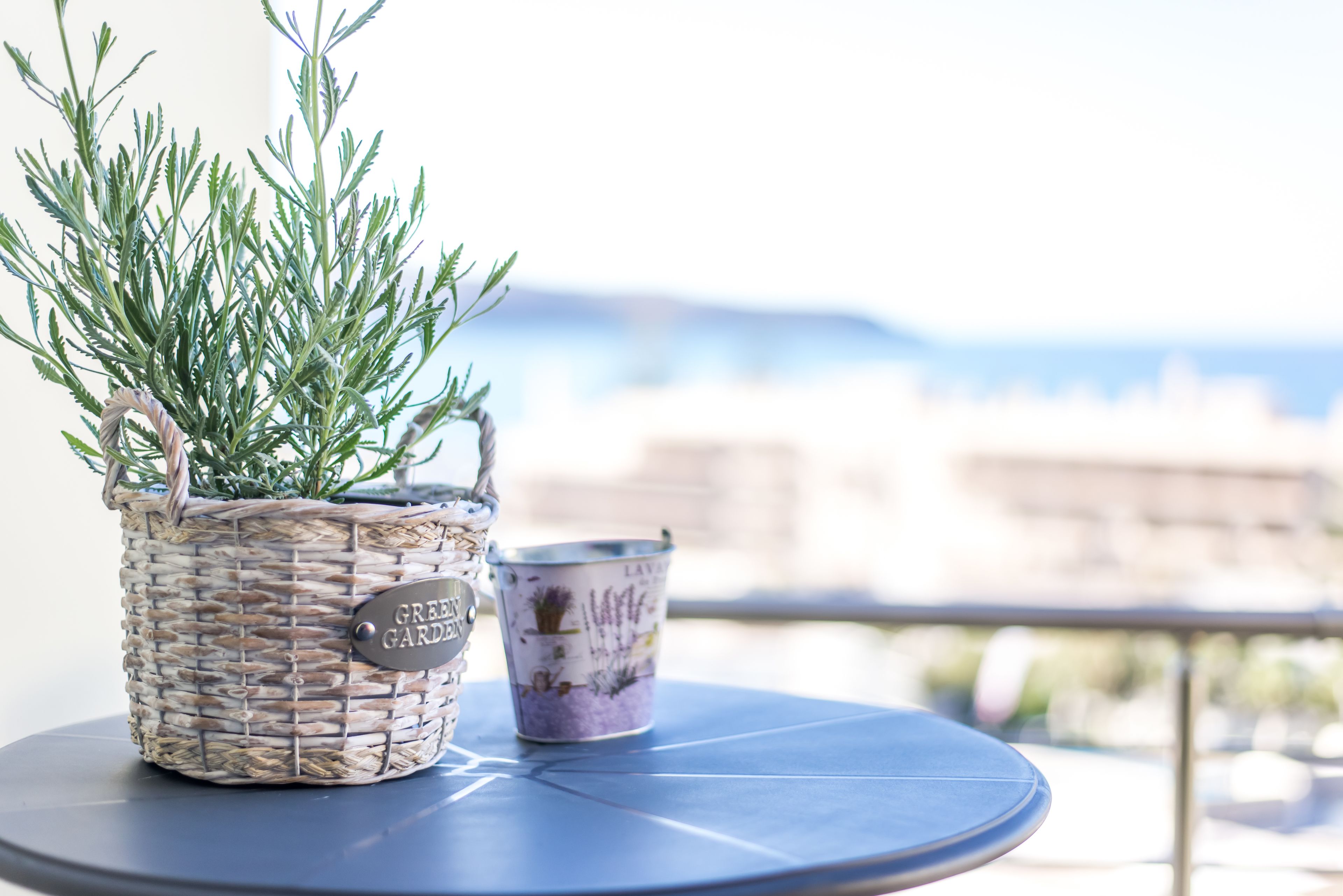 Foto - Lavender Villas Chania