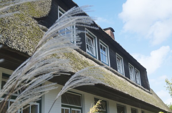 A traditional house with a thatched roof and multiple windows.