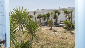 A courtyard with palm trees and a building with white walls and a flat roof. - Thalassopetra (Milos)