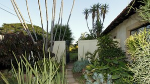 A garden with various plants and a stone pathway leading to a building. - Casa Ridge (Umhlanga)