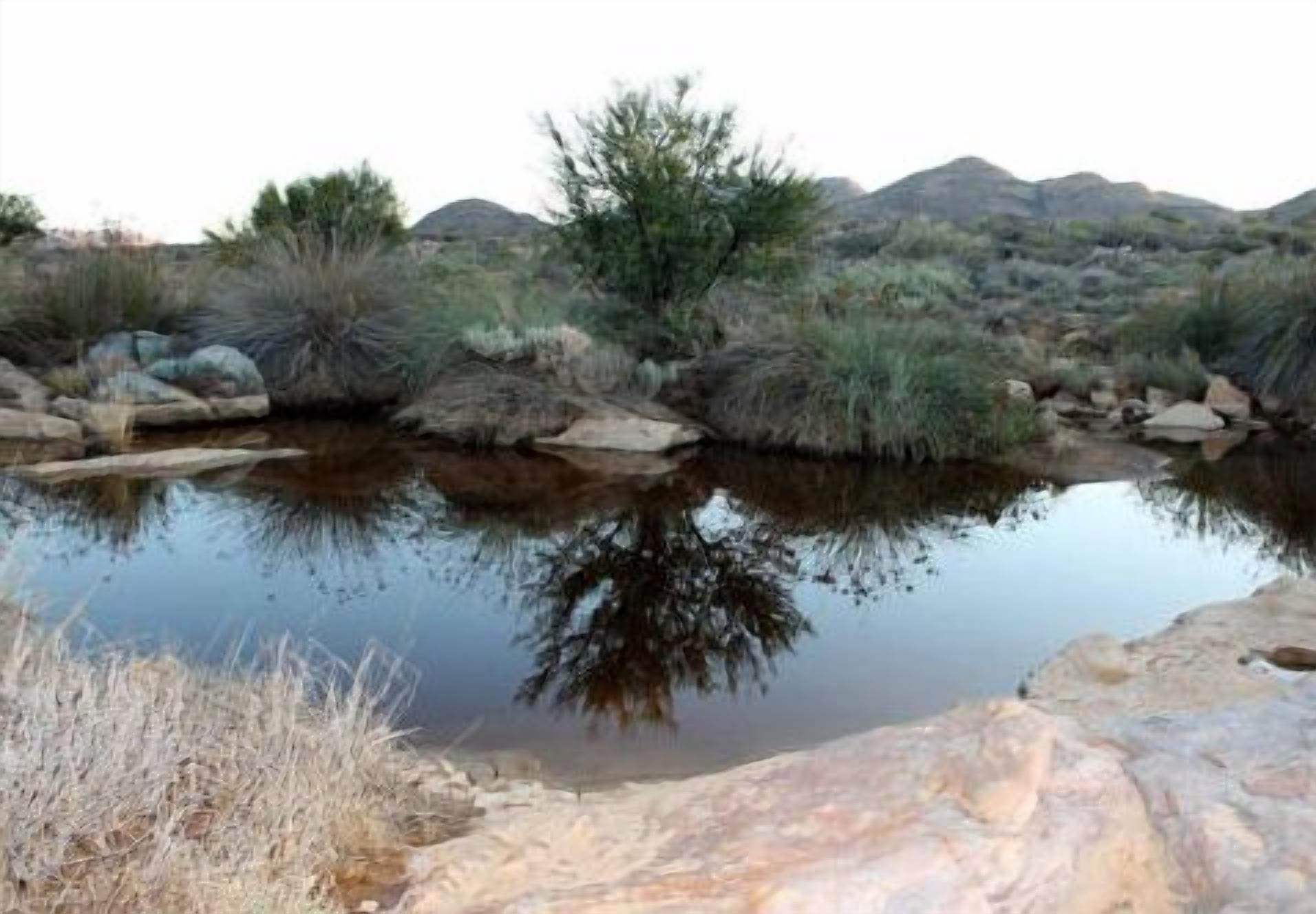 Un paisaje natural con un cuerpo de agua que refleja árboles y montañas al fondo.