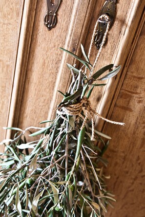 A plant with dried leaves and a rope tied around it, hanging on a wooden surface. - d'Olyfboom Guest Rooms (Paarl)