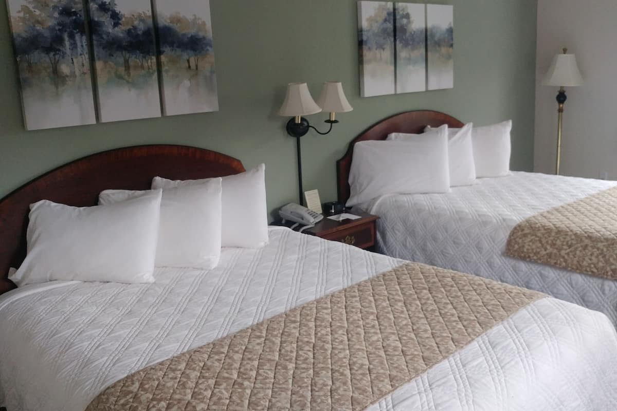 Kamer, 2 queensize bedden | Een strijkplank/strijkijzer, extra bedden, gratis wifi, beddengoed