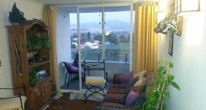 Departamento Mancilla