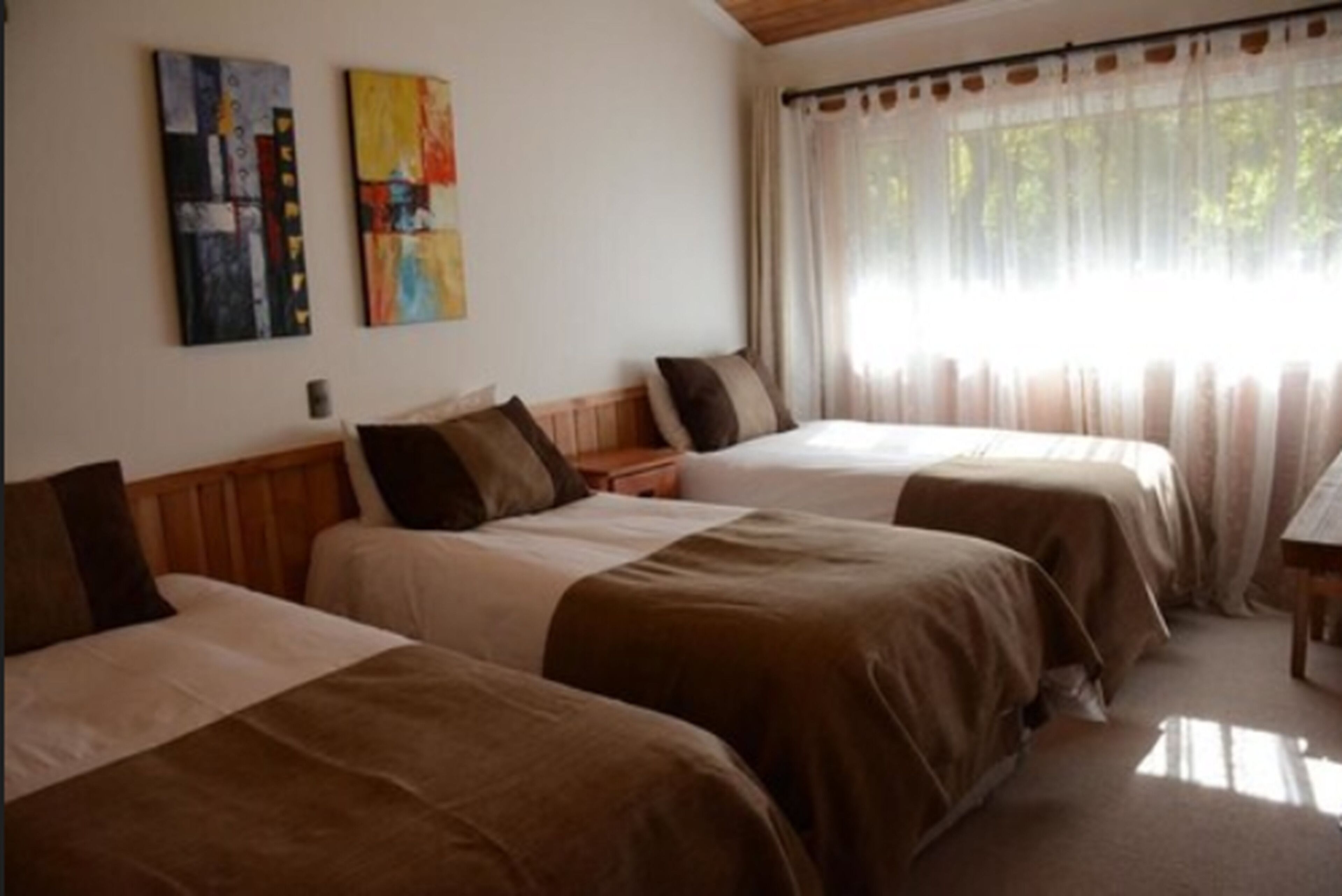 Habitación de hotel con dos camas individuales, cabecera de madera, mesita de noche y ventana con cortinas translúcidas.