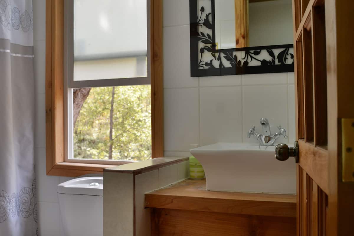 shower, free toiletries, hair dryer, towels