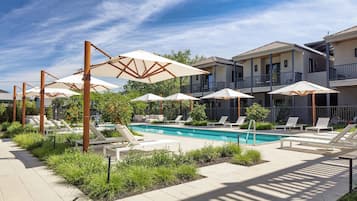 Outdoor pool, pool loungers