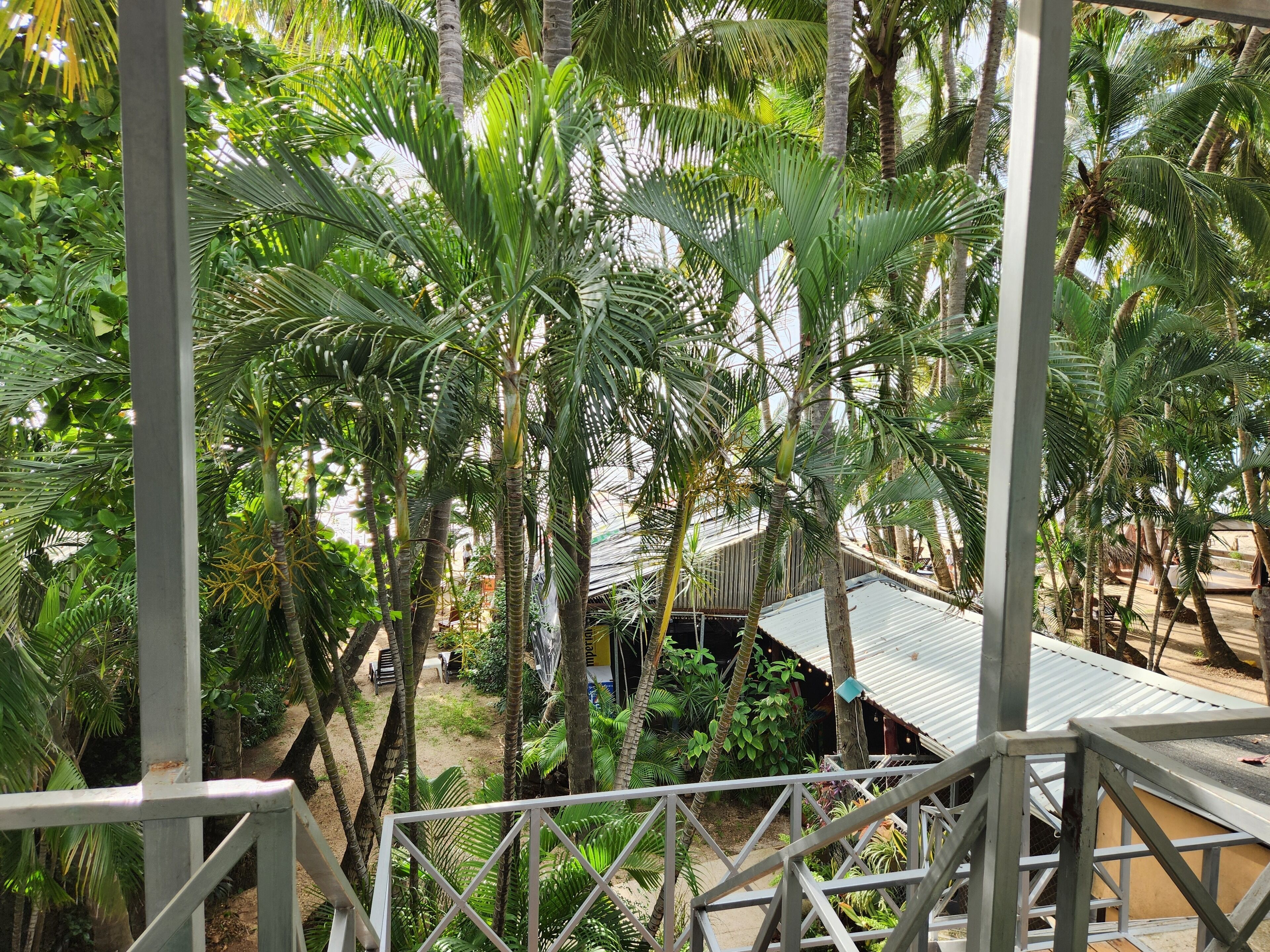 Habitación doble Deluxe, 1 cama King size, vista al océano | Vista desde la habitación