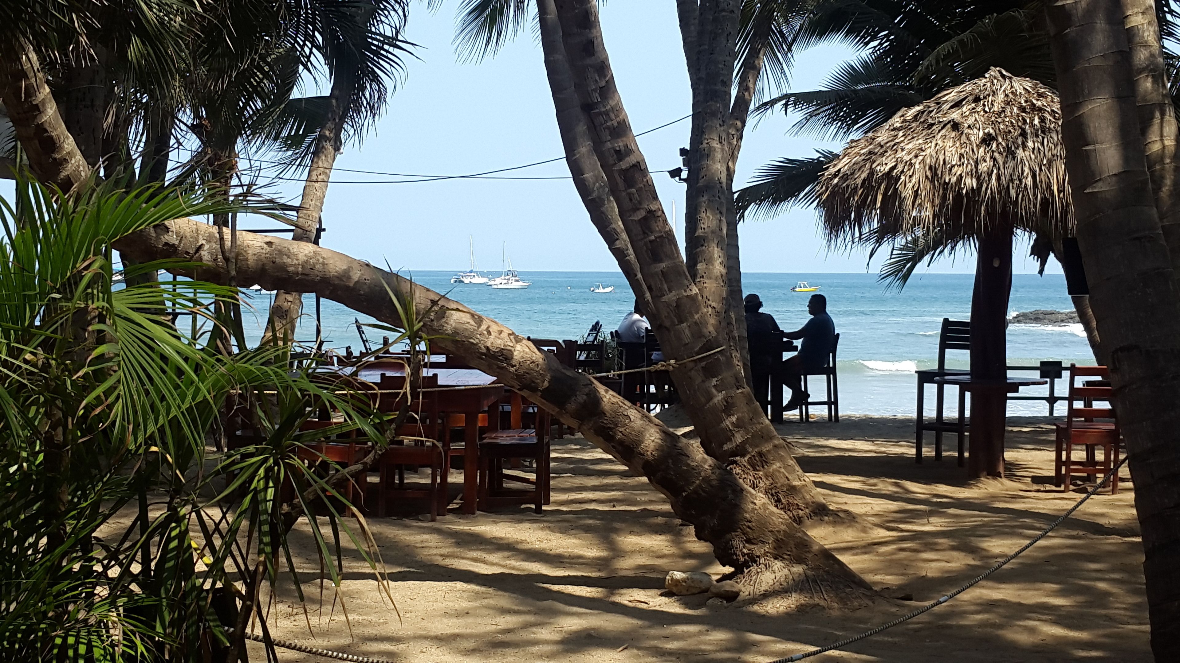 A beachside restaurant with outdoor seating, palm trees, and a view of the ocean.