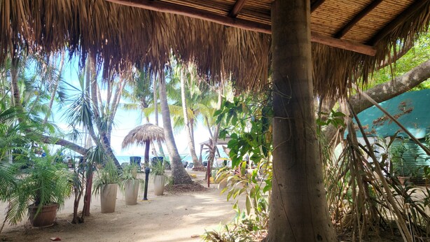 A covered outdoor area with a thatched roof, surrounded by palm trees and potted plants. - Hotel La Palapa (Tamarindo)