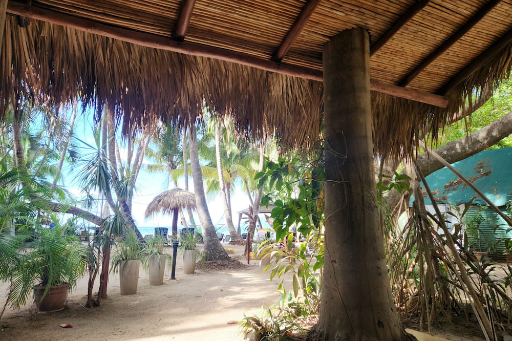 Hotel La Palapa