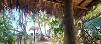 Hotel La Palapa