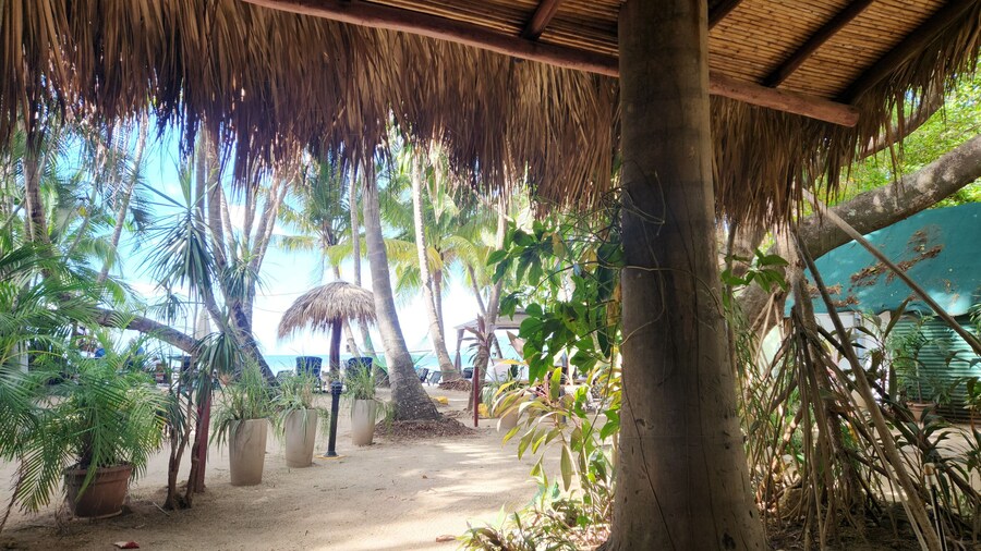 Hotel La Palapa