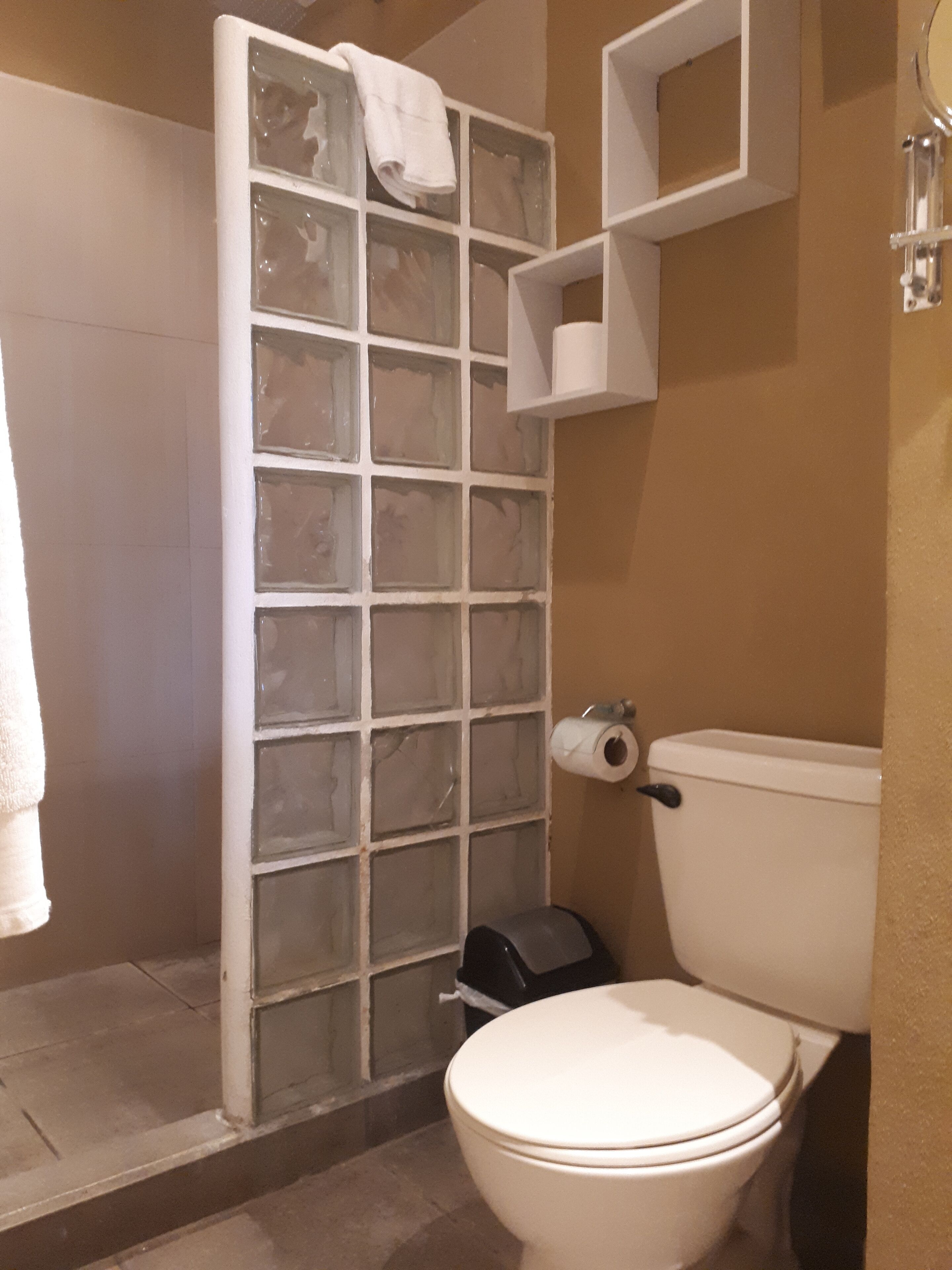 Une salle de bain équipée d’une douche, de toilettes et d’une étagère porte-rouleau.