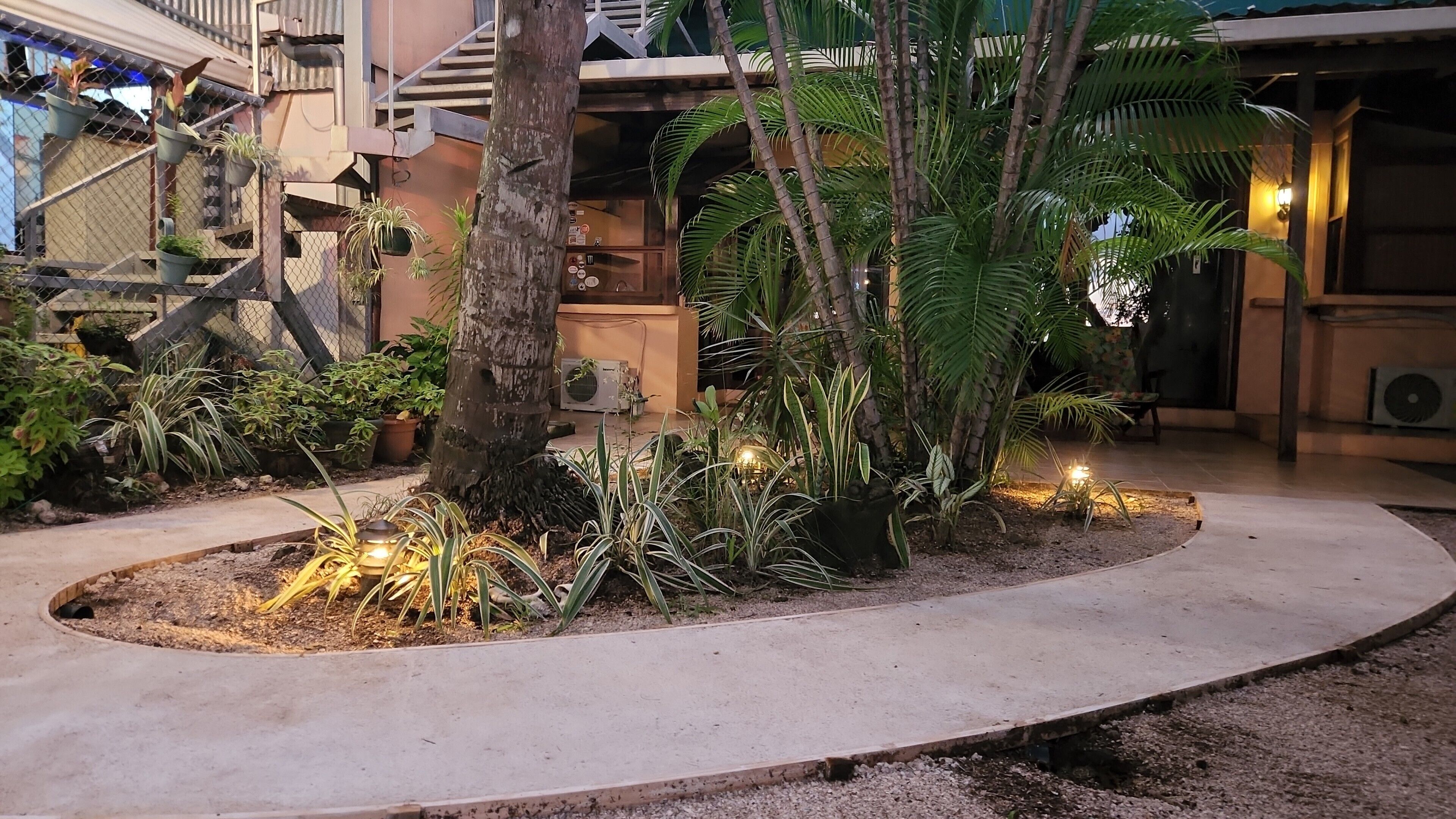 A courtyard with a concrete pathway, potted plants, a palm tree, and a staircase leading to an upper level.