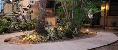 A courtyard with a concrete pathway, potted plants, a palm tree, and a staircase leading to an upper level.