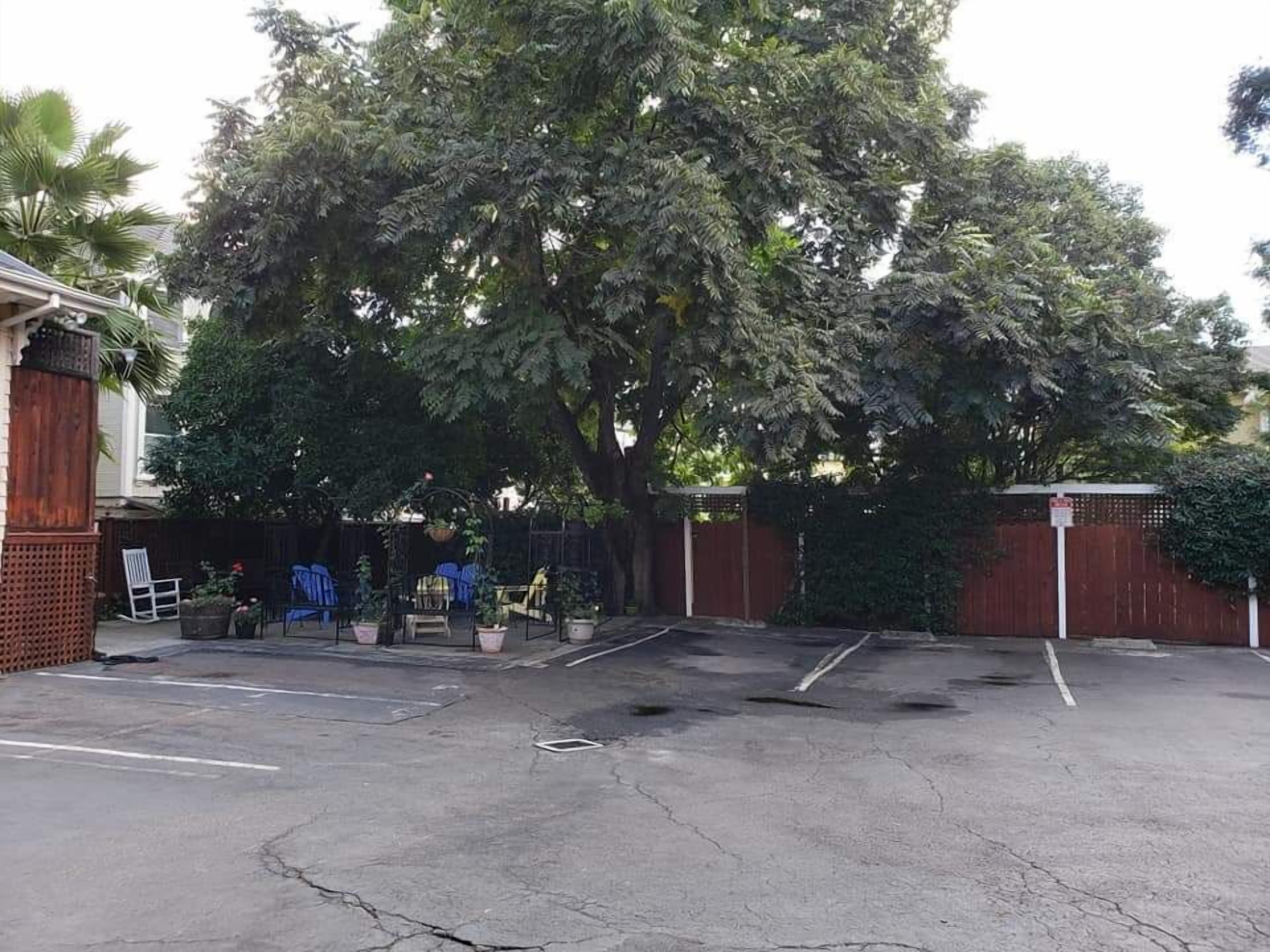 Un estacionamiento con un árbol grande en el centro, rodeado por una cerca y algunas plantas en macetas.