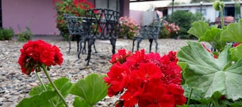 Posada Caracoles