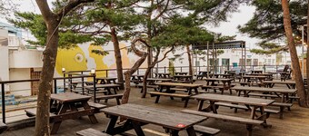 Ocean to you Resort Sokcho Seorak Beach Hotel and condo