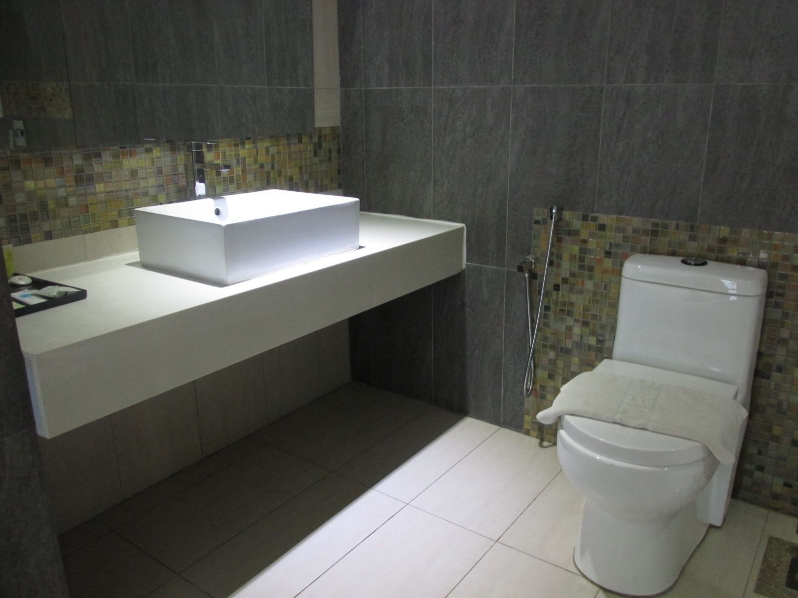 Un bagno moderno con lavandino bianco, un water e zona doccia.