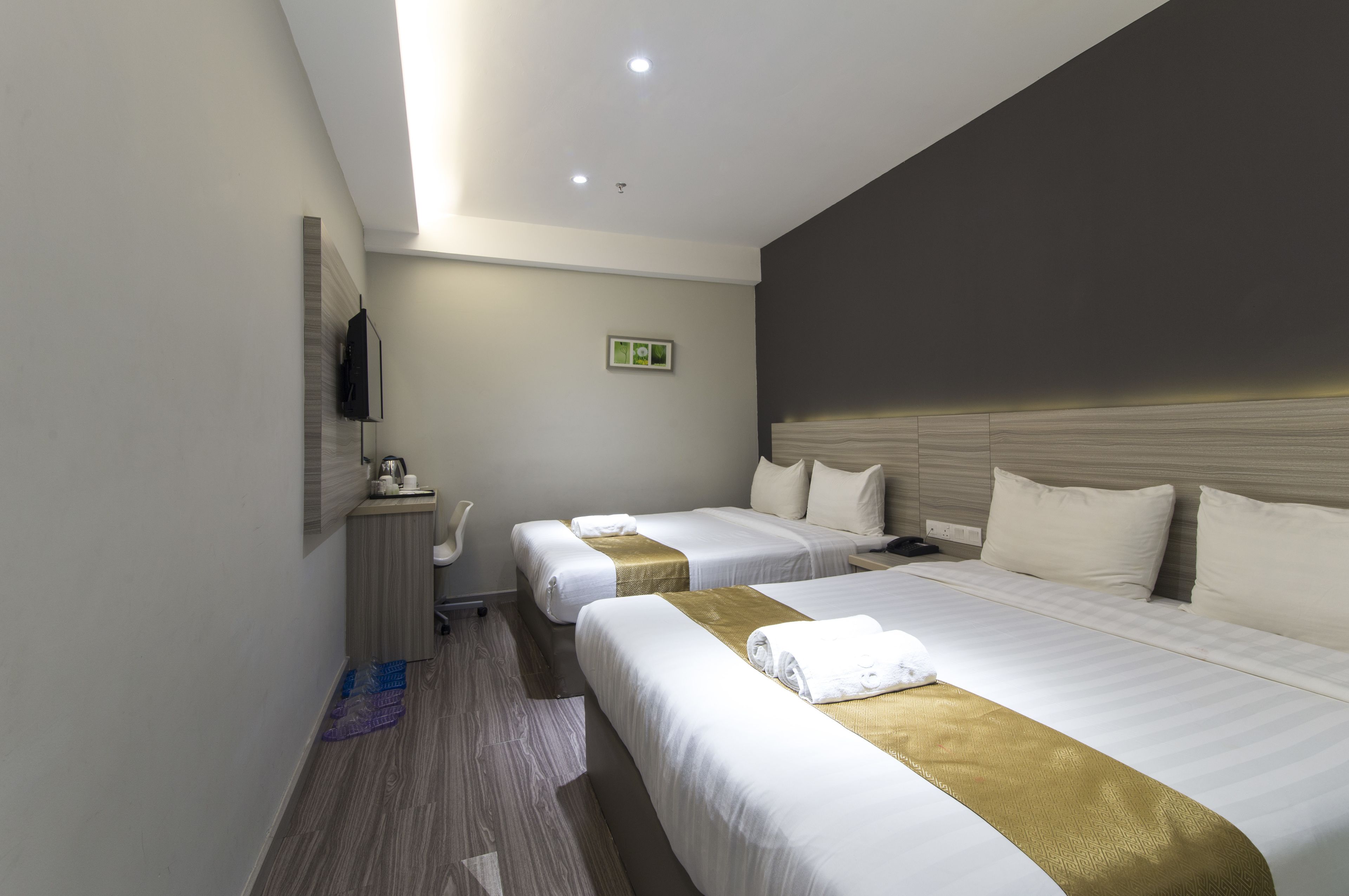 Deluxe Family  | Desk, iron/ironing board, free WiFi