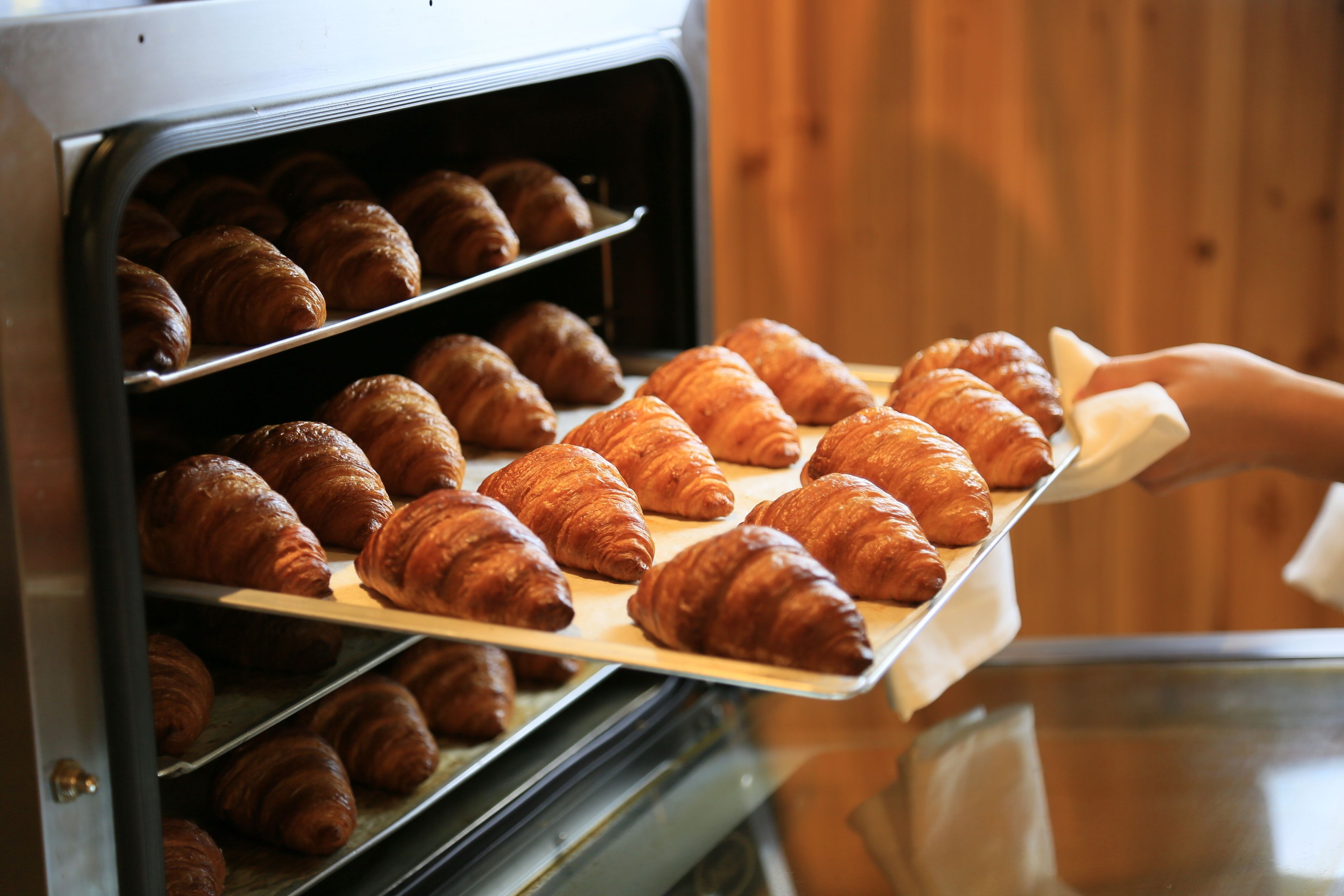 Eine Hand hält eine Platte mit frisch gebackenen Croissants, die aus dem Ofen kommen.