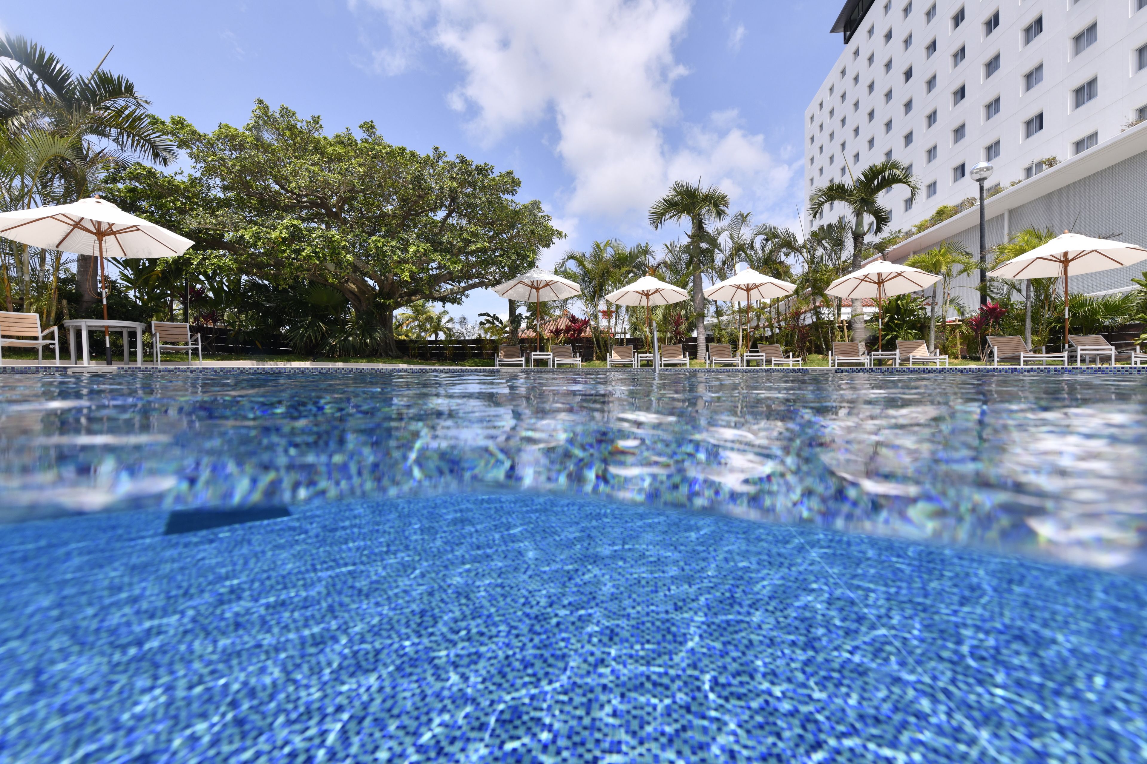 seasonal outdoor pool, open 9:30 am to 5:00 pm, pool umbrellas