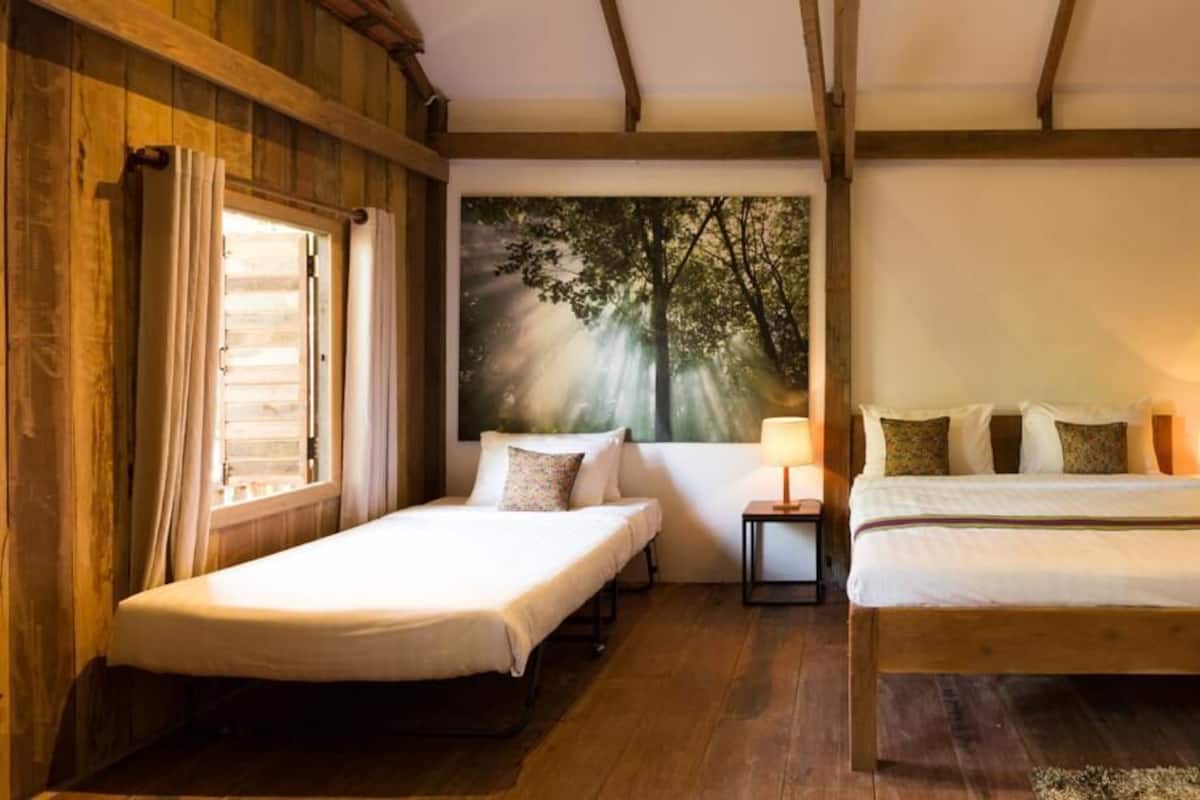 A room with two single beds, wooden walls, a large forest-themed painting, and a window with curtains.